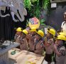 Field Trips – Learning Beyond the Classroom